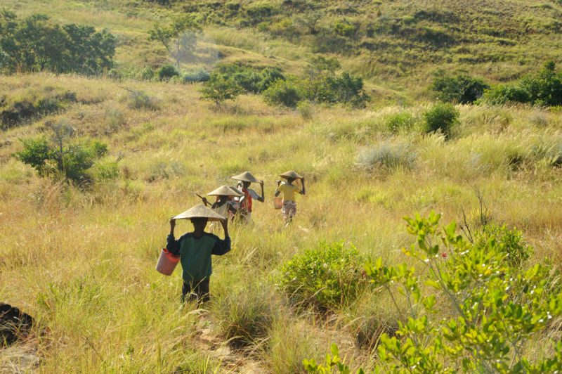 Madagascar World Bank 35 Million Supports Drought Affected Households   Banks Imf Madagascar 