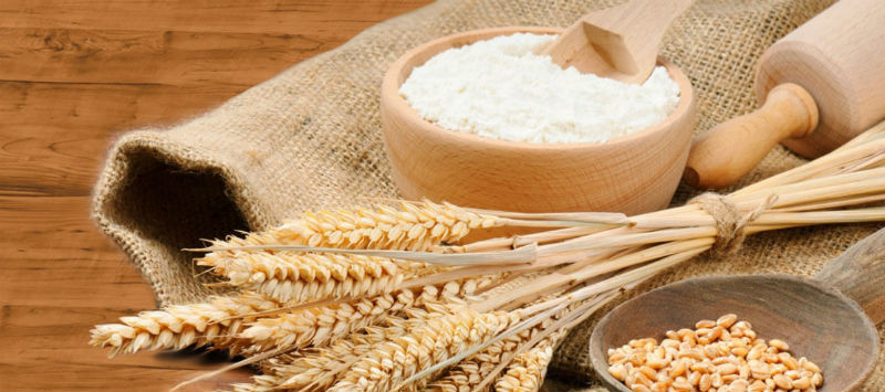 Kazakhstan Increased the Exports of Wheat and Meslin - FINCHANNEL