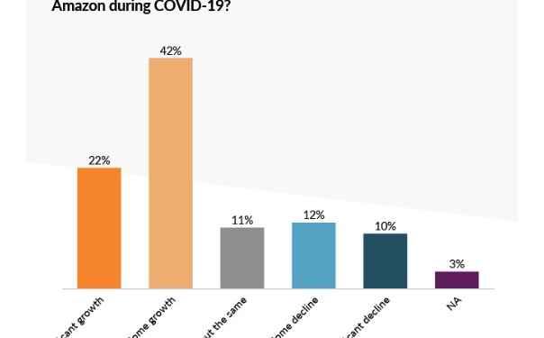 Impact of Covid-19 on Amazon Sellers – FINCHANNEL