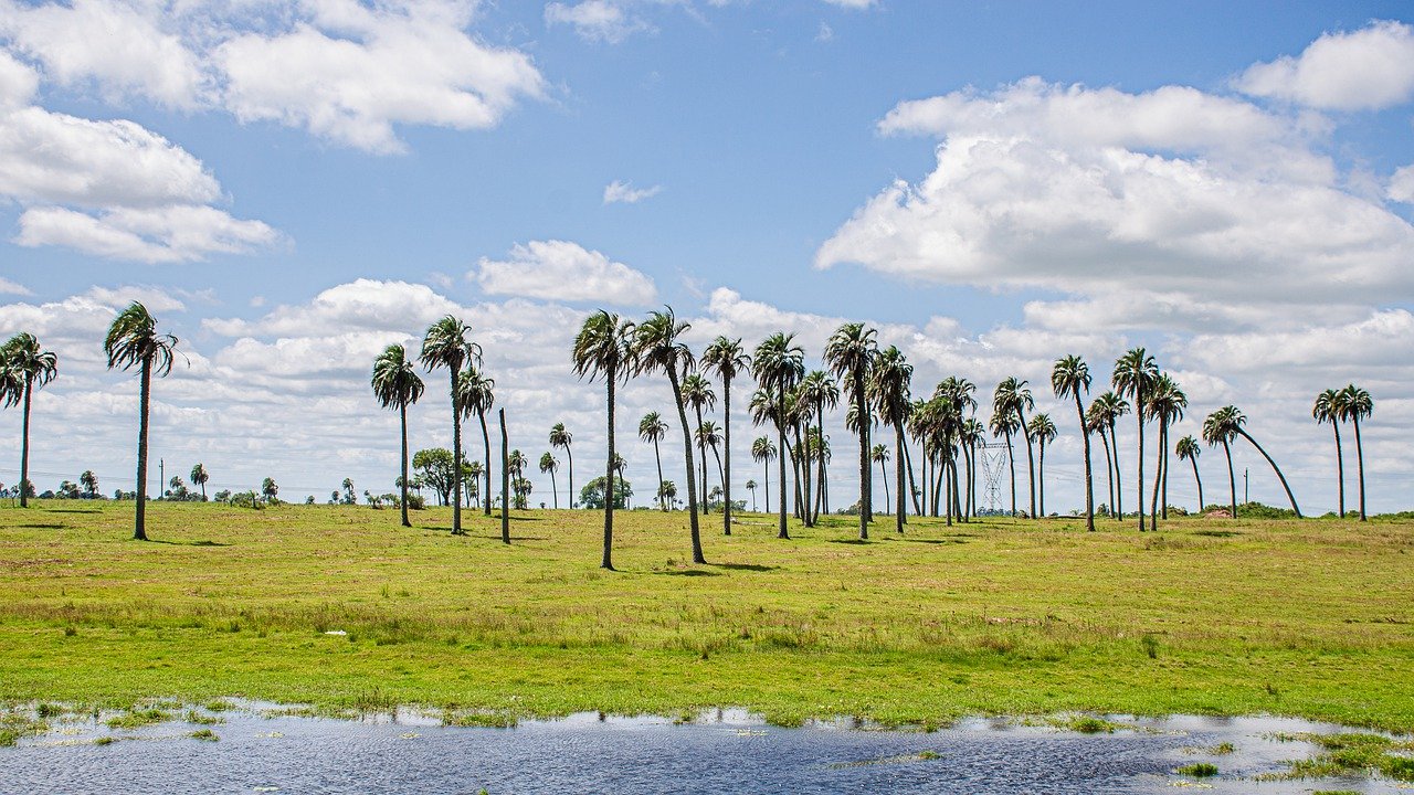 IDB Supports Uruguay Tackle Natural Disaster And Health Emergency ...